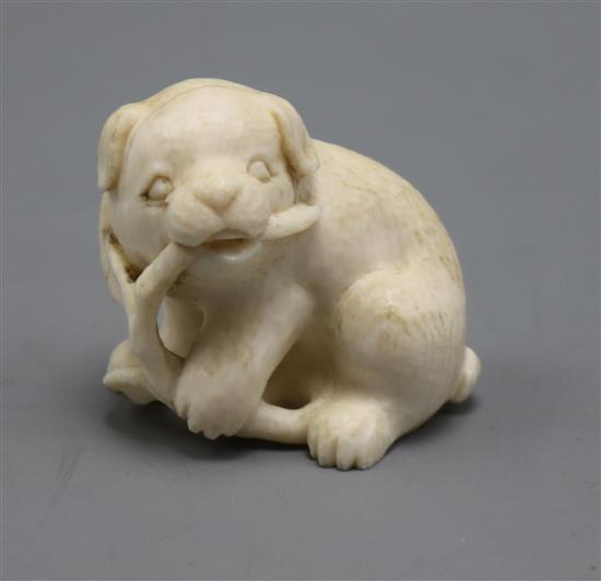 A small Japanese ivory carving of a dog, Meiji